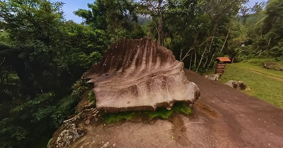 https://penedo360.com.br